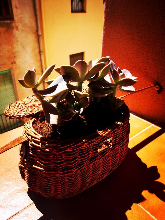 Cornu Karma Apartment Siuranella Cornudella de Montsant Esterno foto